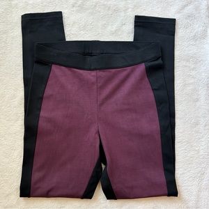 Hue Burgundy & Black Blocked Microsuede Leggings